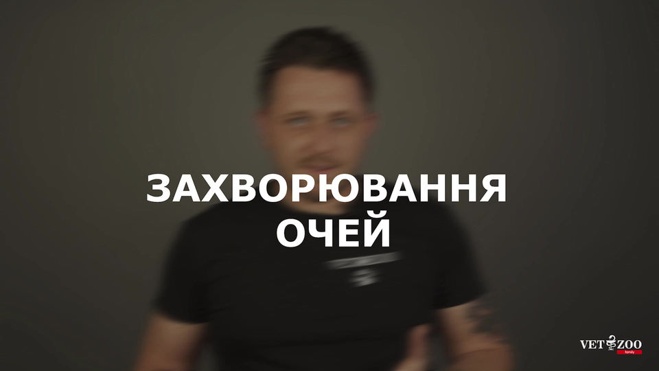 Очі